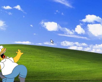 Почему они используют Windows XP и что нам с этим делать?