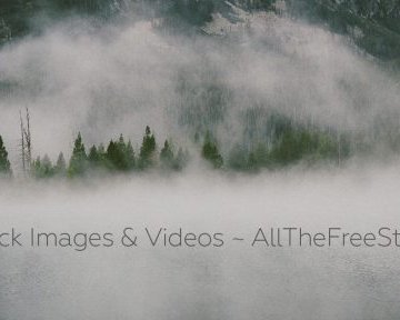 AllTheFreeStock — лучшие бесплатные фотостоки в одном сервисе