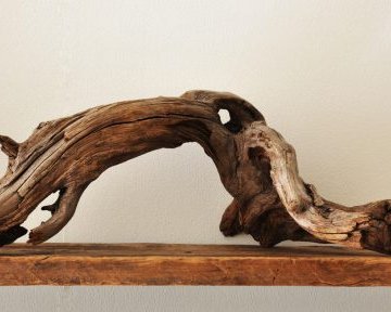 DIY: прикольные украшения для дома из коряг и веток