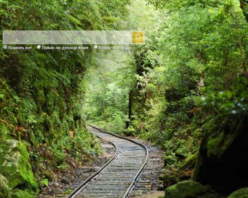 Полная коллекция изображений Bing доступна для просмотра и загрузки